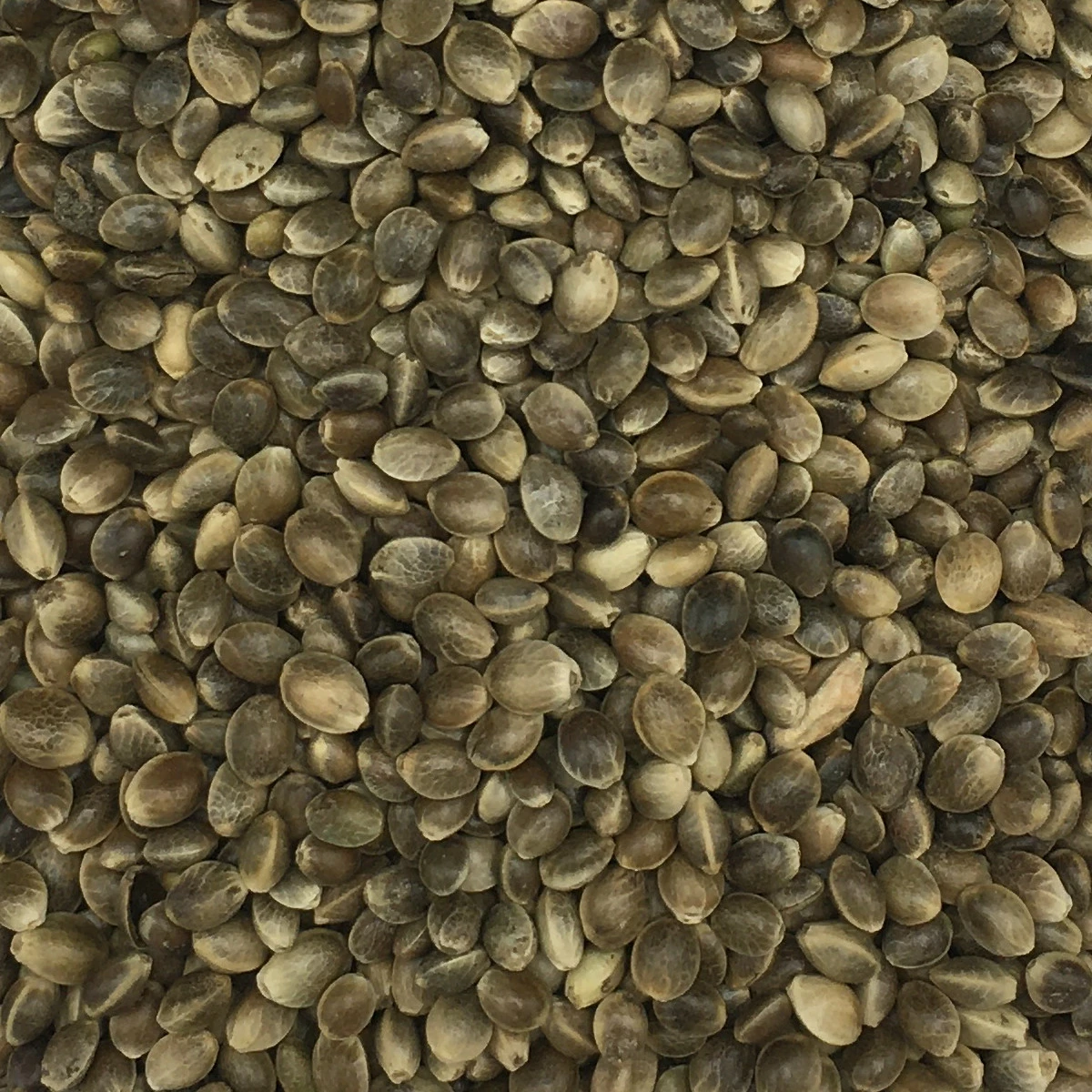 Hanfsaat Mittel für Tiere