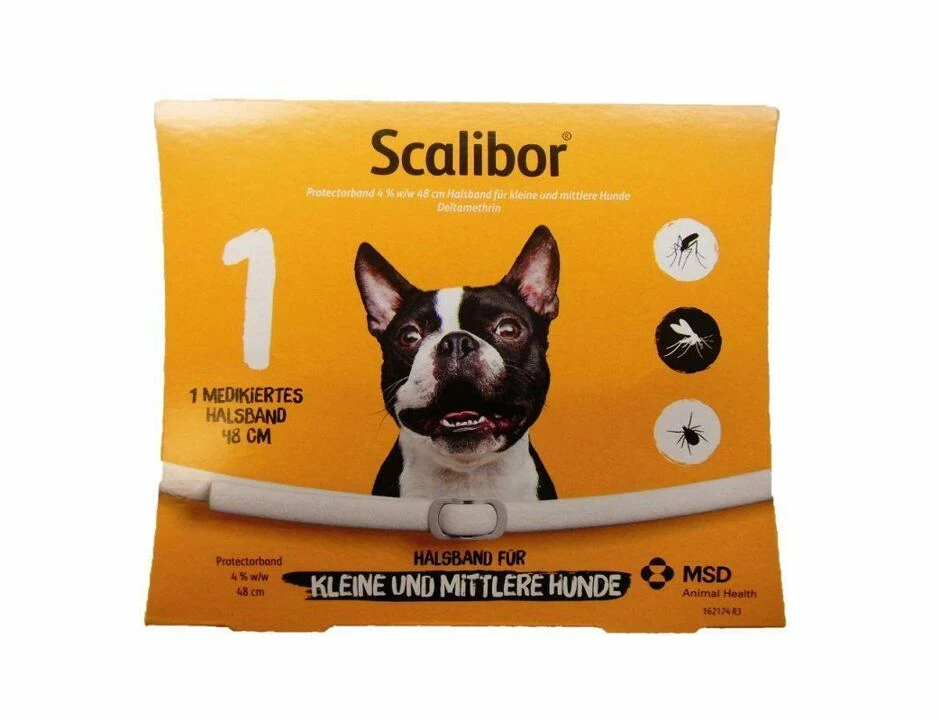 Scalibor Protectorband am Hund