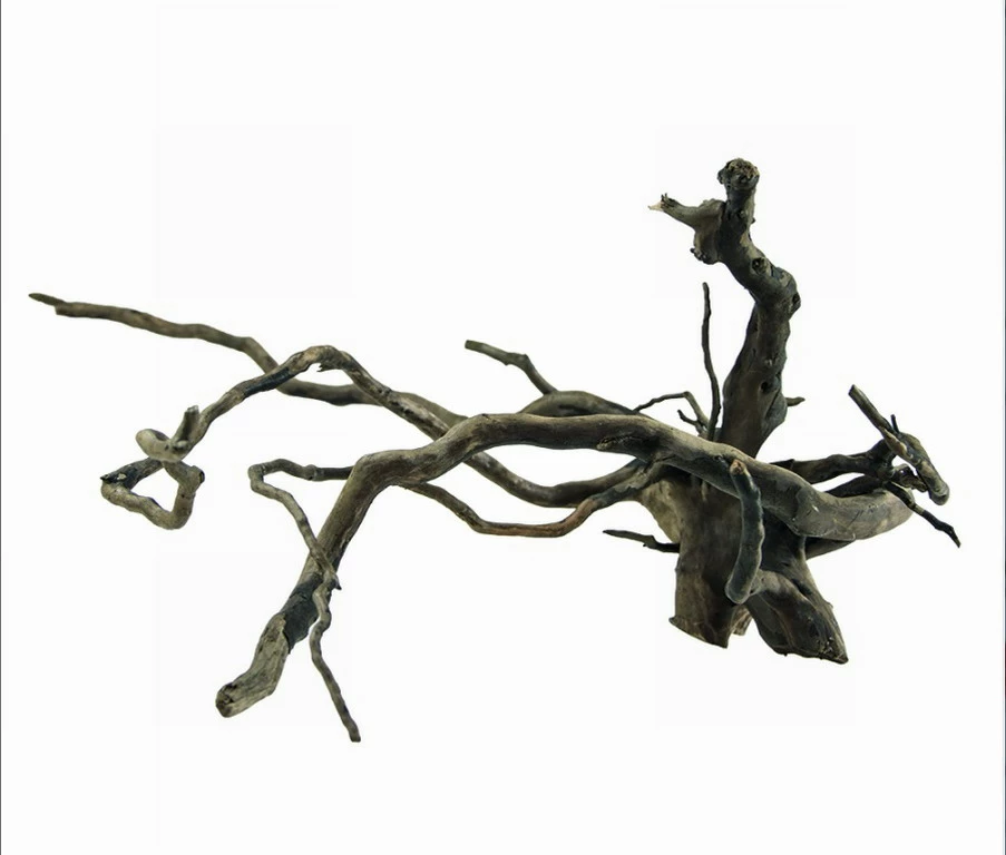 Hobby Dunkle Moorwurzel