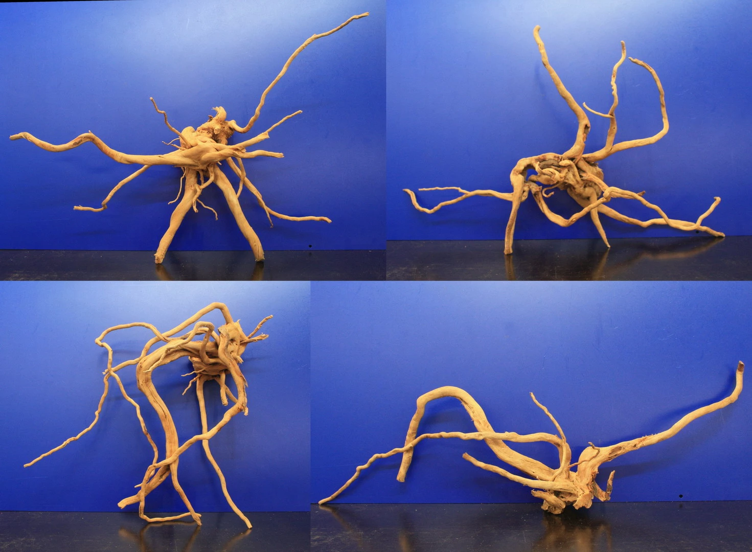 Moorwurzel XL Traumwurzel