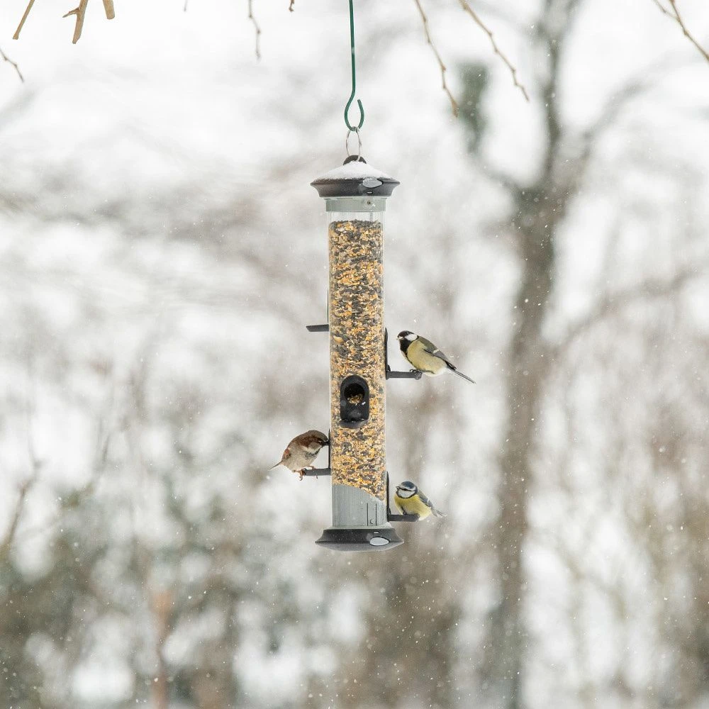 Apollo 5 Futtersäule mit Vögeln